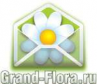 Логотип компании Доставка цветов Гранд Флора (ф-л г.Волгореченск)